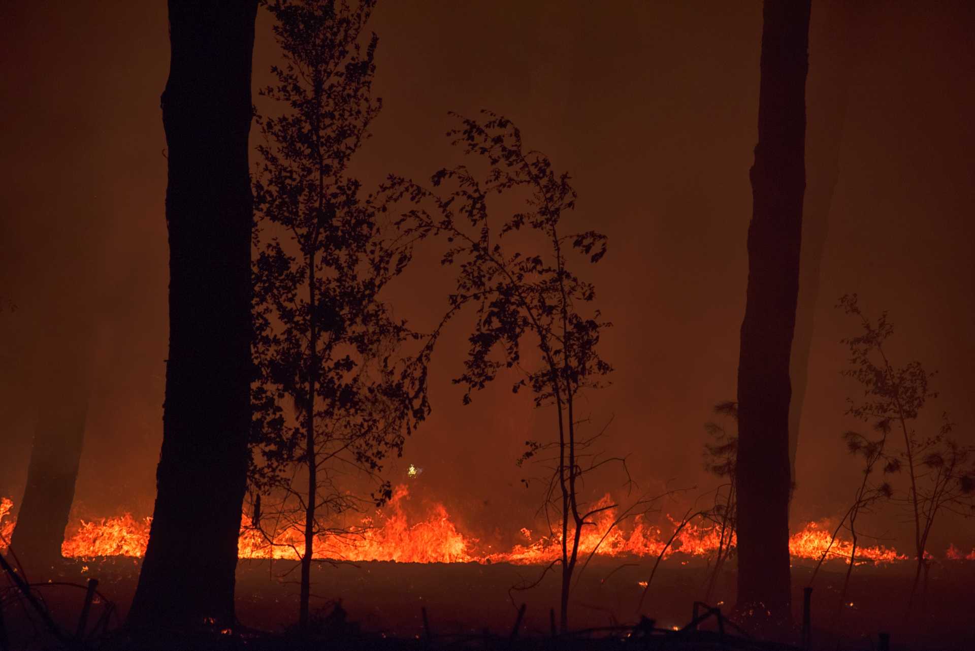 Incendio nella pineta delle Acque Rosse